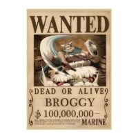 Avis De Recherche Broggy Wanted