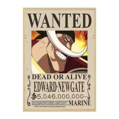 Avis de Recherche Edward Newgate Wanted