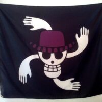 Drapeau Nico Robin