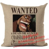 Housse de Coussin Avis de Recherche Marshall D. Teach